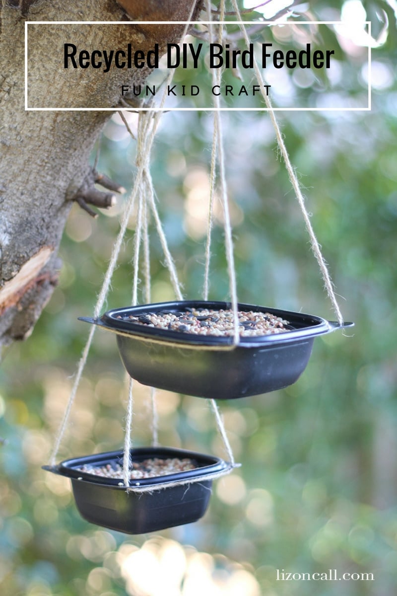 How to make a bird feeder