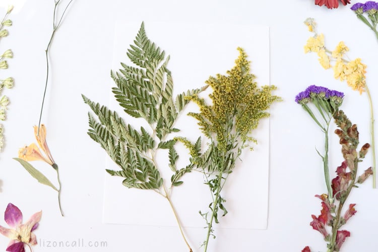 How to make Pressed Flower Art 