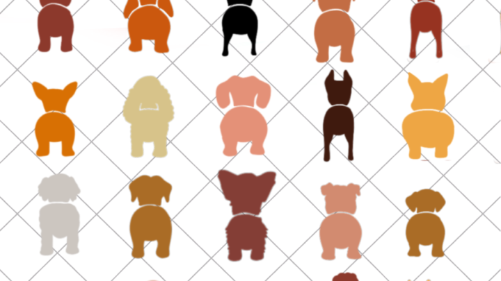 dog butt bundle free svg cut file 900x900 1.png
