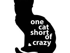 onecat.jpgresize2362c236is pending load1038ssl1